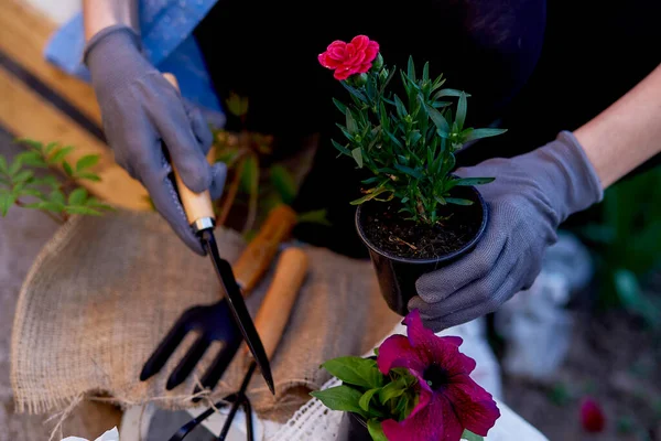 Une Jardinière Met Des Fleurs Pot Jardinage Domicile Jardin Printemps — Photo