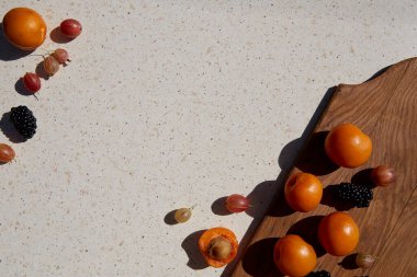 Taze sağlıklı yaz meyveleri, kayısılar, Bektaşi üzümü ve böğürtlenleri koyu gölgeler altında yakın çekim yapın. Yaz zamanı. Boşluğu kopyala
