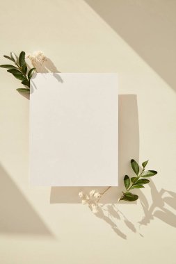 Kırtasiye kartı modeli. Estetik çingene ve güneşli gölgeler altında ayrılıyor. Davetiye, selamlama, dilek listesi, Anneler Günü konsepti. Yeni hayat kavramı, sıfır atık, sürdürülebilir, çevre dostu