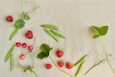 Yaz meyveleri, çilek, kiraz, bezelye ve papatya. Estetik Cottagecore, doğal yaşam tarzı.