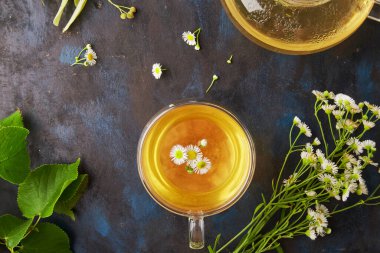 Taze demlenmiş bitki çayı. Estetik ıhlamur ve papatya çayı. Doğal sağlıklı içecek düzdü.
