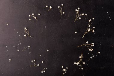 Siyah hırpalanmış kırsal arka planda kuru çingene çiçekleri. Üst görünüm.