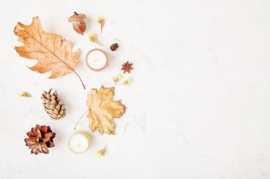 Sonbahar ilham verici doğa geçmişi - kurumuş çiçekler, kuru yapraklar, meşe palamutları, koniler ve mumlar. Konforlu ev.