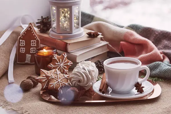 Cozy winter morning at snowy day. Christmas cozy home with books, homemade cookies, marshmallow, cup of cocoa background.