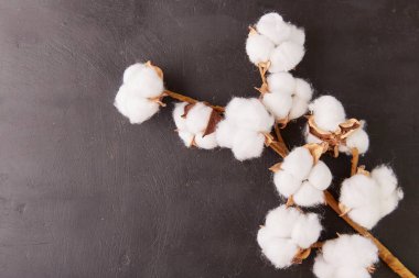 ev için yapay dekorasyon - koyu gölgeli siyah kırsal arka planda pamuk.