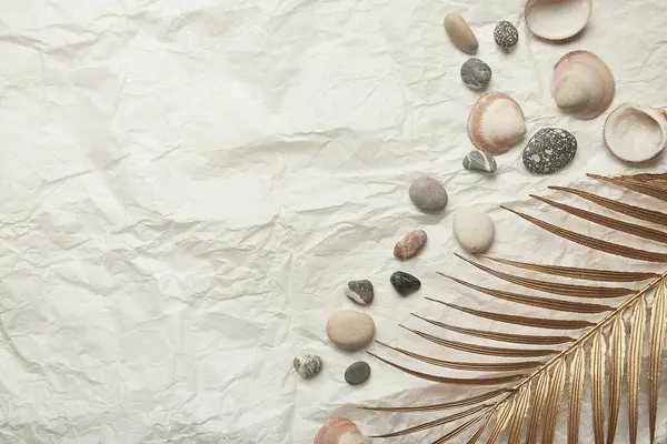 Collection of summer seashells and stones against a crinkled paper backdrop. Copy space.