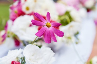 Pembe ve beyaz çiçeklerin çiçek kompozisyonu. Düğün dekoru ve bahçe partisi temaları.