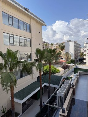 Palm Trees ve Urban Binalarıyla Şehir Manzarası. Arka planda palmiye ağaçları ve modern binalarla panoramik şehir manzarası.