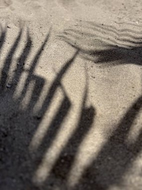 Dalgalı kumsalda çapraz palmiye gölgeleri. Minimum tropikal kontrast, huzurlu tatil anı.