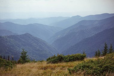 Ukrayna 'daki görkemli Karpat Dağları' nın nefes kesici manzarası engebeli tepeler, yemyeşil vadiler ve geniş gökyüzü.