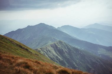 Ukrayna 'daki görkemli Karpat Dağları' nın nefes kesici manzarası engebeli tepeler, yemyeşil vadiler ve geniş gökyüzü.