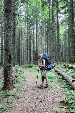 Sırt çantası ve yürüyüş direkleriyle donatılmış genç bir kadın Karpat ormanının yemyeşil çölünün ortasında duruyor.