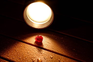 Illuminated Essence: A Single Pomegranate Seed. A lone pomegranate seed illuminated by a spotlight, resting on a water-dotted wooden surface, symbolizing a light in the end clipart