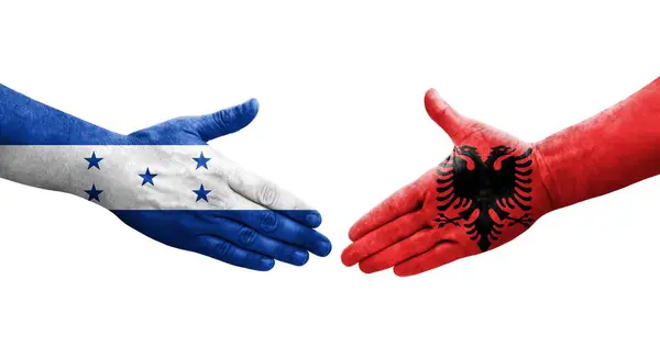 アルバニアとホンジュラスの間の握手手に描かれた旗 孤立した透明画像 — ストック写真