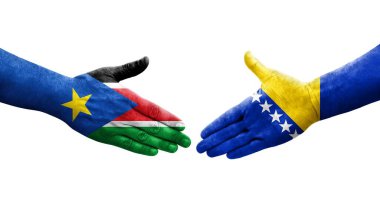 Bosna ve Güney Sudan bayrakları arasında el sıkışma, izole şeffaf görüntü.