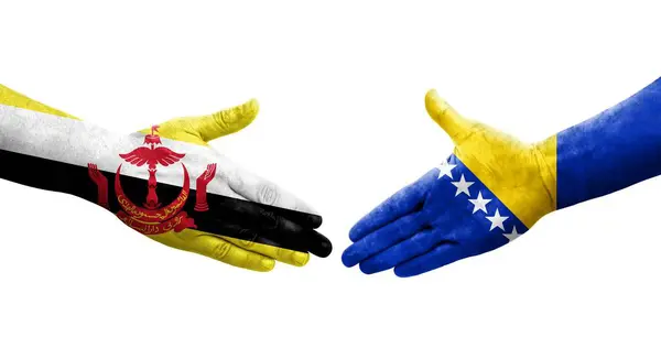 Aperto Mão Entre Bósnia Brunei Bandeiras Pintadas Mãos Imagem Transparente — Fotografia de Stock