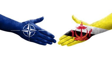 Brunei ve Nato bayrakları arasındaki tokalaşma elleri boyalı, izole şeffaf görüntü.