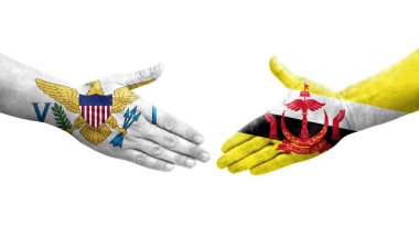 Brunei ve Virgin Adaları arasındaki el sıkışma ellerinde boyanmış bayraklar, izole şeffaf görüntü.