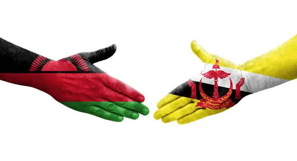 Aperto Mão Entre Bandeiras Brunei Malawi Pintadas Mãos Imagem Transparente — Fotografia de Stock