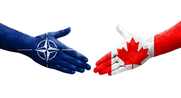 stock image Handshake between Canada and Nato flags painted on hands, isolated transparent image.