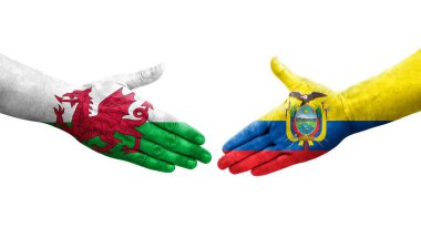 Ekvador ve Galler arasındaki el sıkışma ellerinde boyanmış bayraklar, izole şeffaf görüntü.