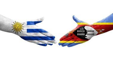 Ellerinde Eswatini ve Uruguay bayrakları arasında el sıkışma, izole şeffaf görüntü.