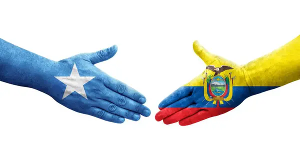 Handslag Mellan Ecuador Och Somalia Flaggor Målade Händer Isolerad Transparent — Stockfoto