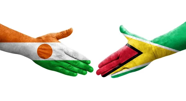 Poignée Main Entre Les Drapeaux Guyana Niger Peints Sur Les — Photo