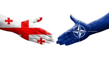 Ellerinde Nato ve Gürcistan bayrakları arasında el sıkışma, izole şeffaf görüntü.