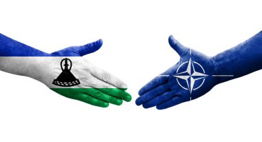 Ellere boyanmış Nato ve Lesotho bayrakları arasındaki el sıkışma, izole şeffaf görüntü.