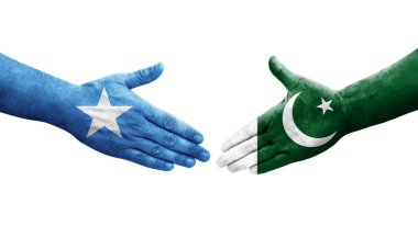 Pakistan ve Somali bayrakları arasındaki el sıkışma ellerinde resmedilmiş şeffaf görüntü.