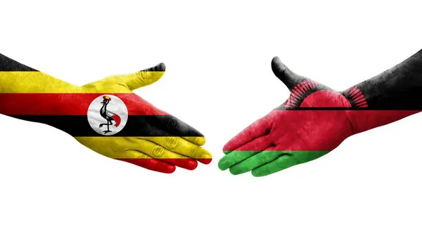 Stretta Mano Tra Malawi Uganda Bandiere Dipinte Mani Immagine Isolata — Foto Stock