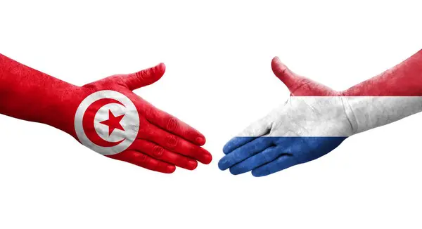 Рукостискання Між Нідерландами Прапорами Тунісу Намальоване Руках Ізольоване Прозоре Зображення — стокове фото