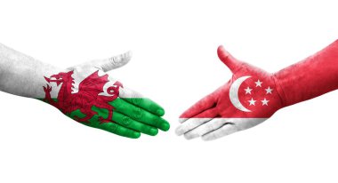 Singapur ve Galler arasındaki el sıkışma ellerinde boyanmış bayraklar, izole edilmiş şeffaf görüntü.