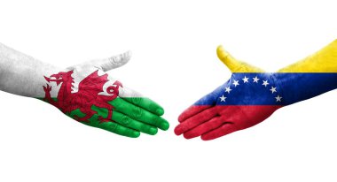 Venezuela ve Galler arasındaki el sıkışma ellerinde boyanmış bayraklar, yalıtılmış şeffaf görüntü.