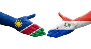 Ellerinde Paraguay ve Namibya bayrakları arasında el sıkışma, izole şeffaf görüntü.
