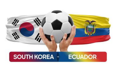 Güney Kore Ekvador milli takımlarına karşı futbol maçı konsepti.
