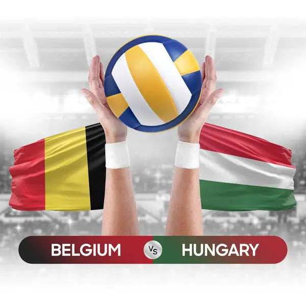 stock image Belgium vs Hungary national teams volleyball volley ball match competition concept.