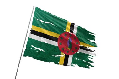 Şeffaf arkaplanda Dominica bayrağı yırtıldı.