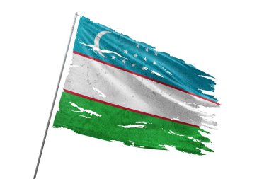 Saydam arkaplanda Özbekistan bayrağı yırtıldı.