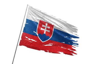 Saydam arkaplanda Slovakya bayrağı yırtıldı.