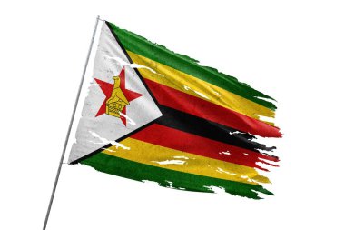 Zimbabwe şeffaf arkaplanda bayrak yırttı.