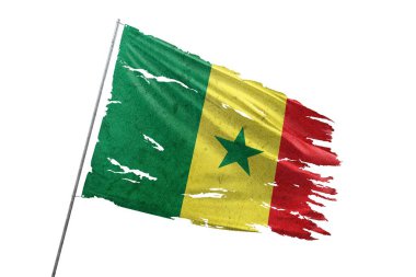 Şeffaf arkaplanda Senegal yırtık bayrağı.