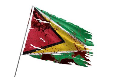 Guyana kan lekeleriyle saydam arkaplanda bayrak yırttı.