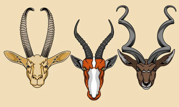 four legged animal head vector illustration