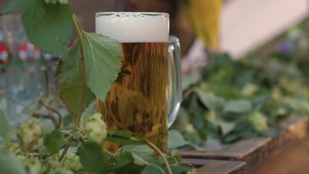 在啤酒花叶间的杯子里搅拌淡淡的啤酒 一品脱啤酒 — 图库视频影像