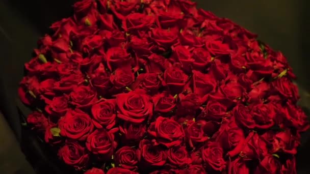 Enorme Hermoso Ramo Rosas Rojas Primer Plano Rosas Florecientes Verdadero — Vídeo de stock