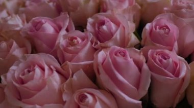 Güzel bir buket pembe gül, makro, yakın plan. Çiçekli güller gerçek bir ziyafet. Düğün geçmişi, Sevgililer Günü konsepti
