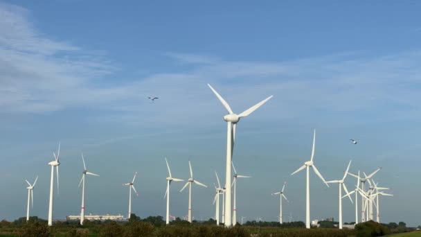 Turbinas Eólicas Que Generan Energía Eléctrica Renovable Protegen Medio Ambiente — Vídeo de stock