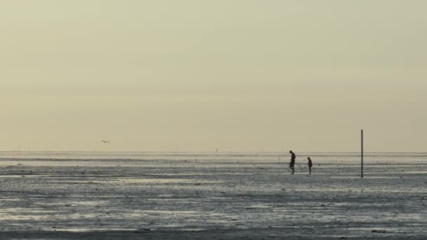 Nepoznatelní Lidé Čepicích Kráčejí Pláži Nízkého Přílivu Široká Písčitá Pláž — Stock video